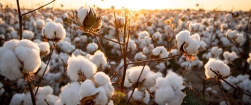 GettyImages-1320201171-1024x683 (1)